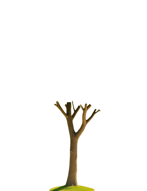 arbre-etetage